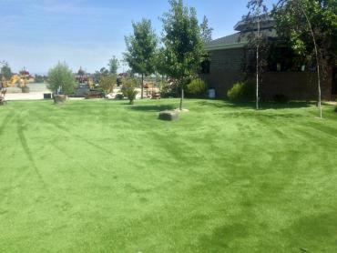 Artificial Grass Photos: Artificial Turf Installation Cape Meares, Oregon Dog Grass, Recreational Areas