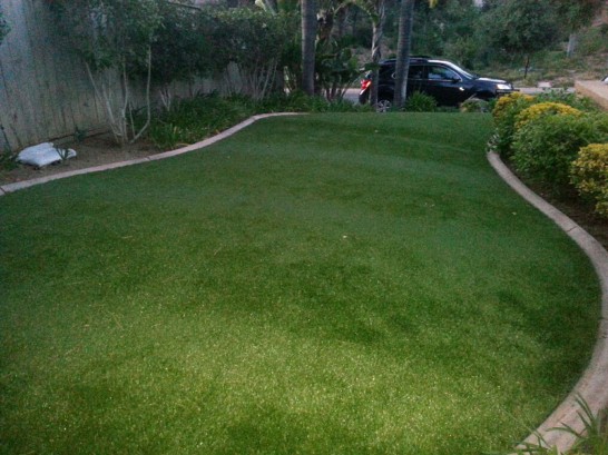 Artificial Grass Photos: Artificial Turf Installation Elkton, Oregon Lawn And Garden, Small Front Yard Landscaping