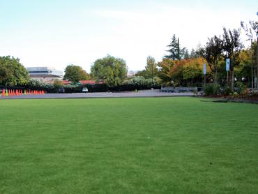 Artificial Grass Photos: Artificial Turf Installation Hebo, Oregon Playground