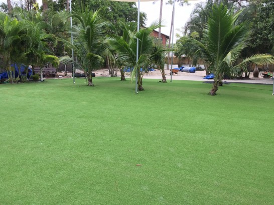 Artificial Grass Photos: Artificial Turf Installation Ione, Oregon Design Ideas, Commercial Landscape