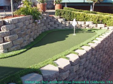 Artificial Grass Photos: Artificial Turf Installation Milwaukie, Oregon Home And Garden, Beautiful Backyards