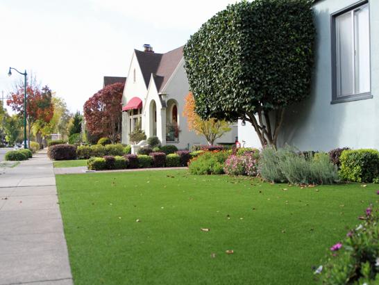 Artificial Grass Photos: Artificial Turf Installation Molalla, Oregon Landscape Design, Front Yard Landscape Ideas