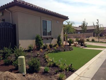 Artificial Grass Photos: Artificial Turf Installation Portland, Oregon Design Ideas, Front Yard Ideas