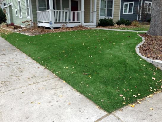 Artificial Grass Photos: Artificial Turf Installation Toledo, Oregon Landscape Design, Front Yard Landscaping Ideas