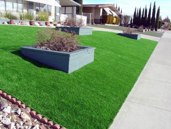 Artificial Grass Photos: Artificial Turf Installation Wheeler, Oregon Landscaping Business, Front Yard Landscaping