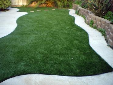 Artificial Grass Photos: Artificial Turf Keizer, Oregon Rooftop, Beautiful Backyards