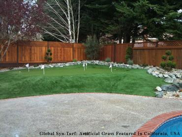 Artificial Turf Lake Oswego, Oregon Garden Ideas, Backyard Designs artificial grass