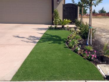 Artificial Grass Photos: Artificial Turf Langlois, Oregon Backyard Playground, Front Yard Design