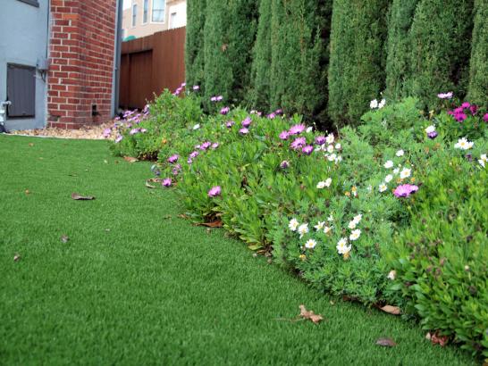 Artificial Grass Photos: Artificial Turf Mehama, Oregon Landscape Photos, Front Yard