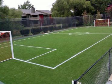 Artificial Grass Photos: Artificial Turf Pine Hollow, Oregon Eco Friendly Products, Commercial Landscape