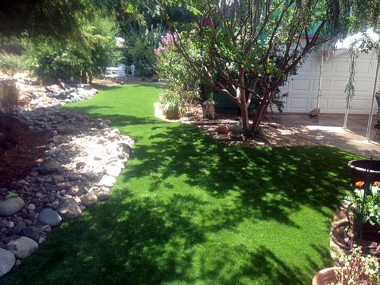 Artificial Grass Photos: Artificial Turf Reedsport, Oregon Design Ideas, Backyard Makeover