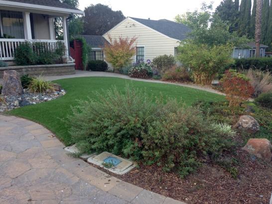 Artificial Grass Photos: Artificial Turf Rivergrove, Oregon Home And Garden, Front Yard Landscape Ideas