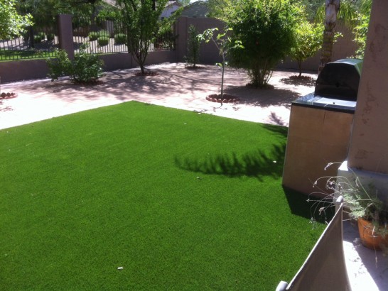 Artificial Turf Rufus, Oregon Dog Running, Backyards artificial grass