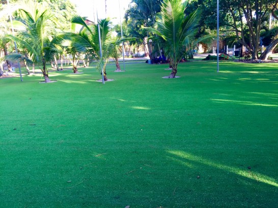 Artificial Grass Photos: Artificial Turf Shaniko, Oregon Rooftop, Front Yard Design