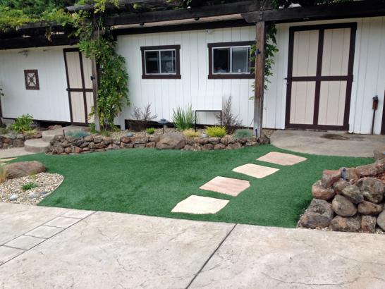 Artificial Grass Photos: Artificial Turf Shedd, Oregon Lawn And Landscape, Small Front Yard Landscaping