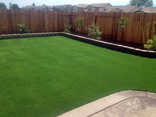 Artificial Grass Photos: Artificial Turf Sutherlin, Oregon Landscape Rock, Small Backyard Ideas