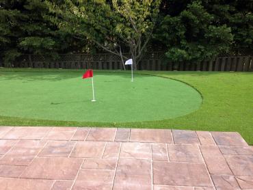 Artificial Grass Photos: Artificial Turf Tangent, Oregon How To Build A Putting Green, Small Backyard Ideas