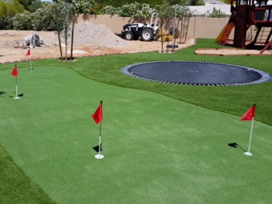 Artificial Grass Photos: Artificial Turf Winchester Bay, Oregon Home Putting Green, Backyard Garden Ideas