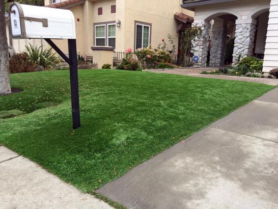 Artificial Grass Photos: Best Artificial Grass Beaver Creek, Oregon Landscape Design, Front Yard