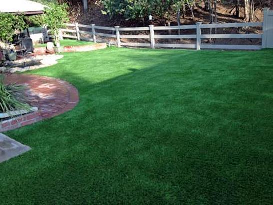 Artificial Grass Photos: Best Artificial Grass Clackamas, Oregon Pictures Of Dogs, Backyard Landscaping