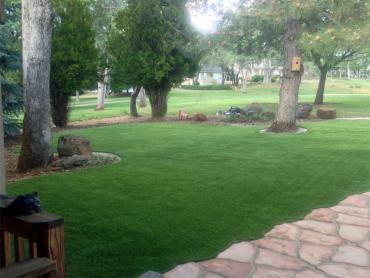 Artificial Grass Photos: Best Artificial Grass Coburg, Oregon Landscape Photos, Front Yard Landscaping Ideas