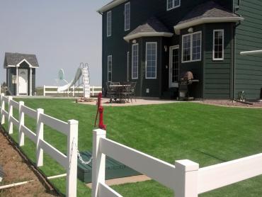 Artificial Grass Photos: Best Artificial Grass Mulino, Oregon, Front Yard Landscaping