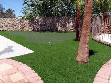 Artificial Grass Photos: Best Artificial Grass Prescott, Oregon Landscaping, Backyard Landscape Ideas