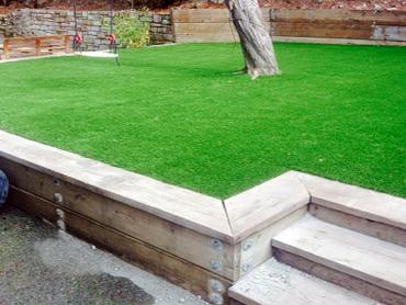 Artificial Grass Photos: Best Artificial Grass Silverton, Oregon Landscaping, Backyard Ideas