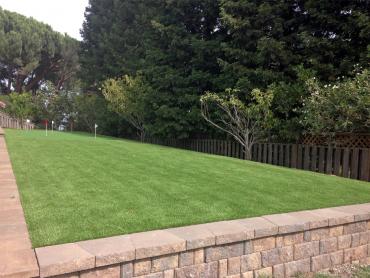 Artificial Grass Photos: Best Artificial Grass The Dalles, Oregon Putting Green Flags, Backyard Landscape Ideas