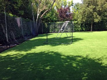 Artificial Grass Photos: Fake Grass Adams, Oregon Backyard Deck Ideas, Backyard Makeover