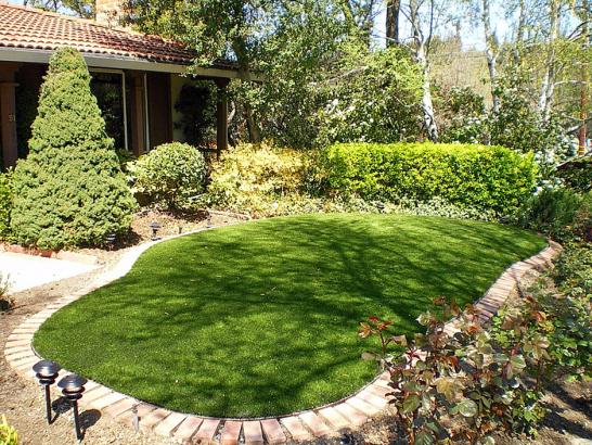 Artificial Grass Photos: Fake Grass Amity, Oregon Landscaping, Backyard Ideas