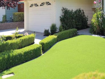 Artificial Grass Photos: Fake Grass Carpet Albany, Oregon Backyard Deck Ideas, Front Yard