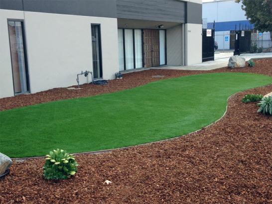 Artificial Grass Photos: Fake Grass Carpet Aloha, Oregon Landscape Ideas, Commercial Landscape