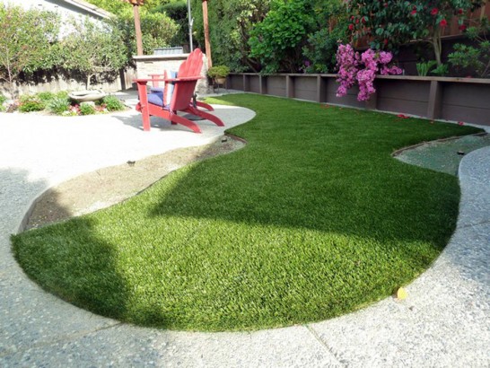 Artificial Grass Photos: Fake Grass Carpet Camp Sherman, Oregon Drainage, Backyard Landscaping