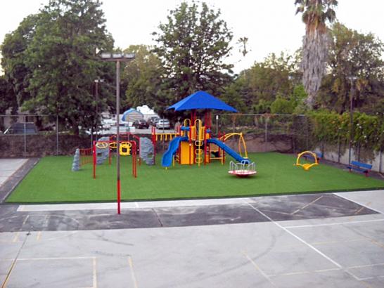 Artificial Grass Photos: Fake Grass Carpet Cottage Grove, Oregon Indoor Playground, Commercial Landscape