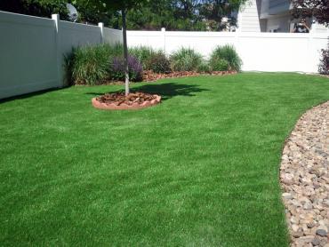 Fake Grass Carpet Damascus, Oregon City Landscape, Beautiful Backyards artificial grass