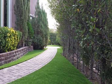 Artificial Grass Photos: Fake Grass Carpet Dillard, Oregon Garden Ideas, Front Yard Landscaping