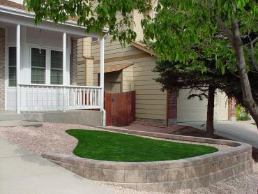 Artificial Grass Photos: Fake Grass Carpet Drain, Oregon, Front Yard Landscaping Ideas