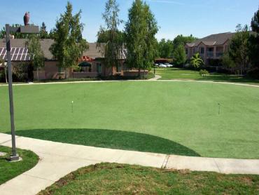 Artificial Grass Photos: Fake Grass Carpet Dundee, Oregon Outdoor Putting Green, Commercial Landscape