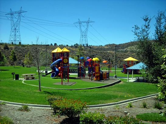 Artificial Grass Photos: Fake Grass Carpet Dunes City, Oregon Backyard Playground, Parks