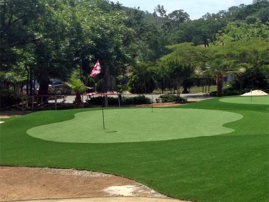 Artificial Grass Photos: Fake Grass Carpet Garibaldi, Oregon Lawn And Garden, Front Yard Design