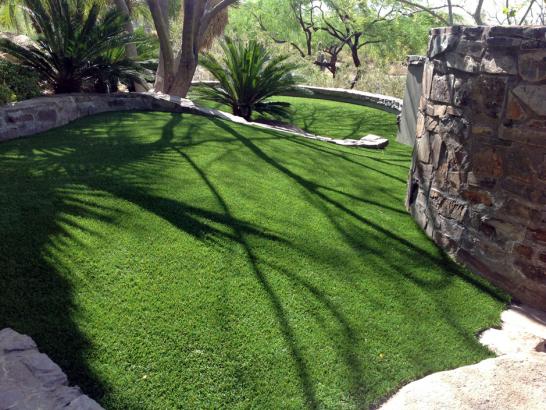 Artificial Grass Photos: Fake Grass Carpet Halsey, Oregon Dog Park