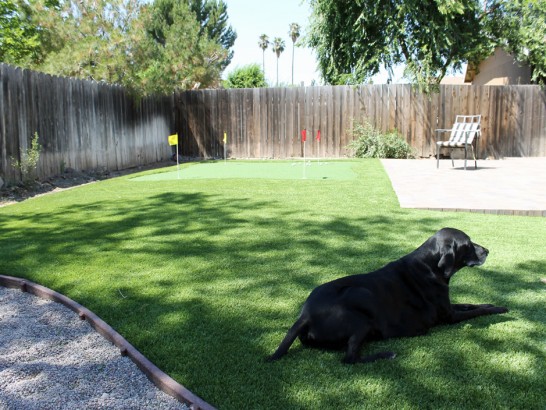 Artificial Grass Photos: Fake Grass Carpet Halsey, Oregon Rooftop, Backyard Garden Ideas