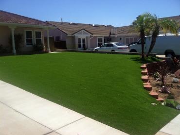 Artificial Grass Photos: Fake Grass Carpet Harrisburg, Oregon Home And Garden, Small Front Yard Landscaping