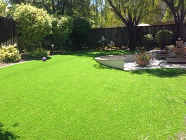 Artificial Grass Photos: Fake Grass Carpet Independence, Oregon City Landscape, Backyard Makeover