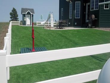 Artificial Grass Photos: Fake Grass Carpet John Day, Oregon Backyard Deck Ideas, Front Yard Landscape Ideas