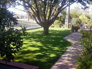 Artificial Grass Photos: Fake Grass Carpet Lents, Oregon Landscaping