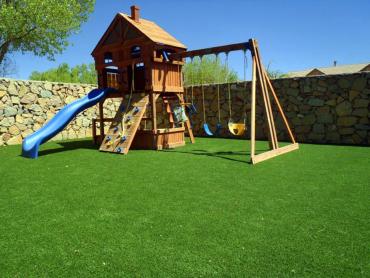 Artificial Grass Photos: Fake Grass Carpet Metzger, Oregon Lawns, Backyard Design