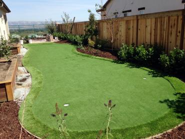 Artificial Grass Photos: Fake Grass Carpet Molalla, Oregon Lawn And Garden, Backyard Designs