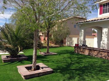 Artificial Grass Photos: Fake Grass Carpet North Bend, Oregon Backyard Deck Ideas, Front Yard Landscaping